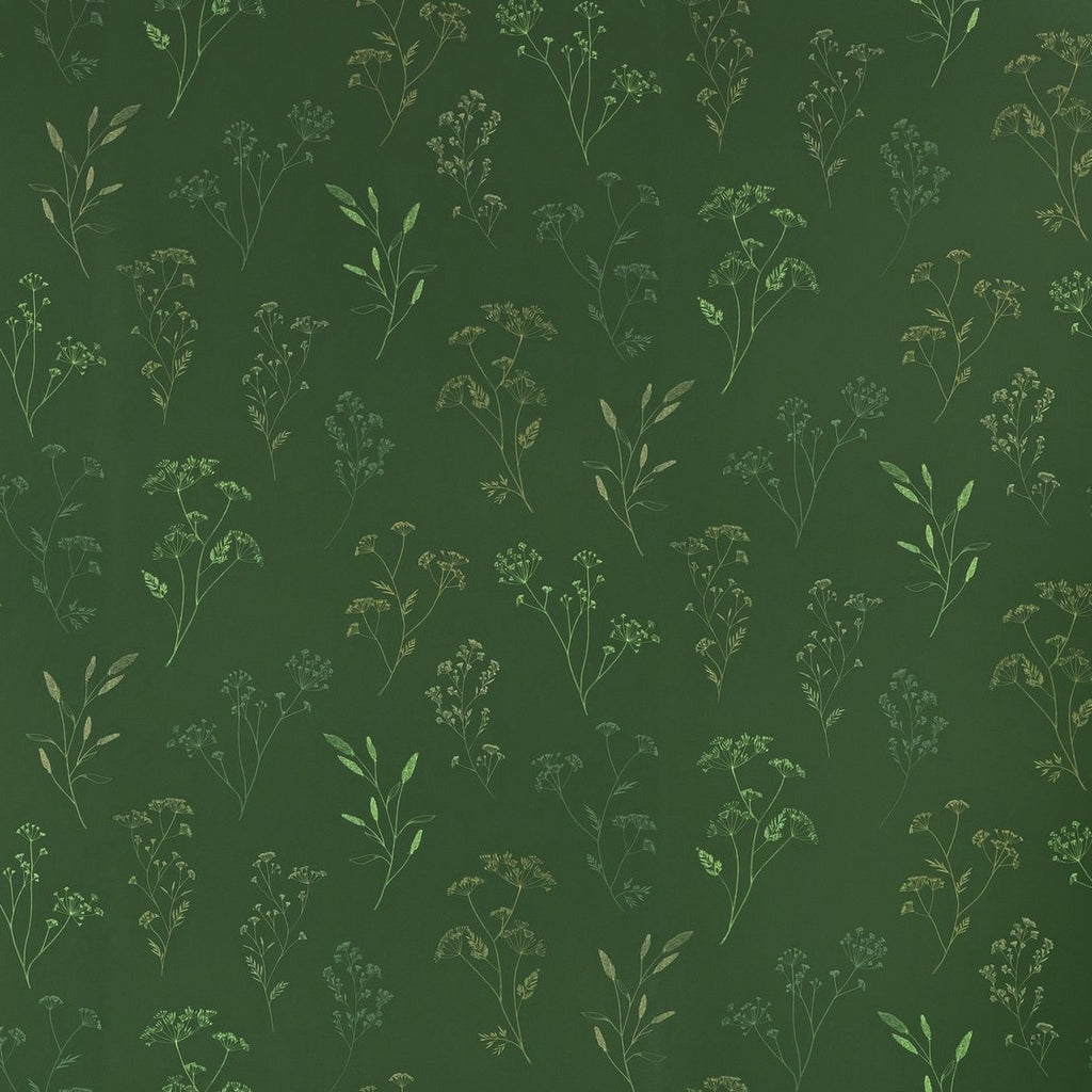 Little Graminea English Green botanical wallpaper