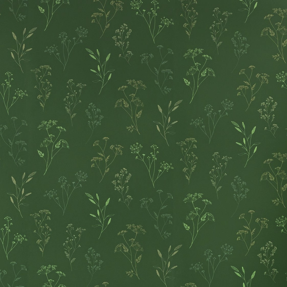 Little Graminea English Green botanical wallpaper